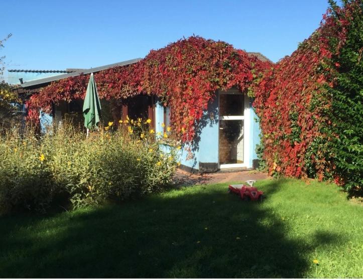 Villa Blaues Haus Neu Reddevitz Lancken-Granitz Exterior foto